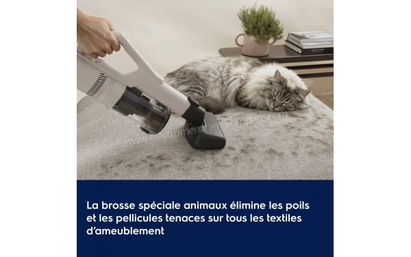 ELECTROLUX EP51AH18SW - Brosse sp&eacute;ciale animaux