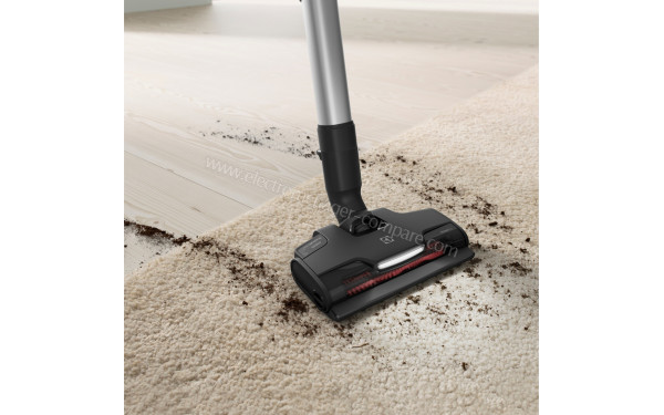 ELECTROLUX EP81B25GRN - Vue de la brosse principale