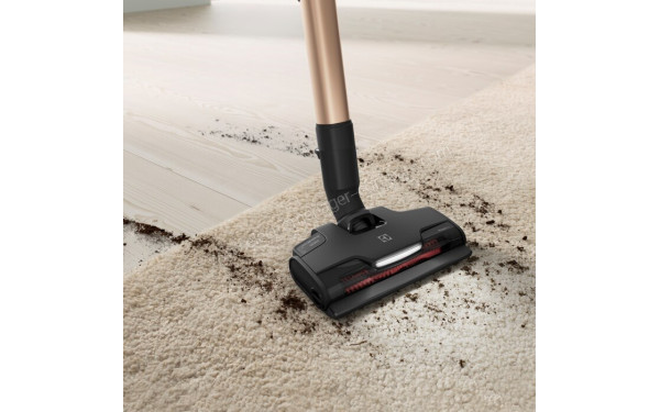 ELECTROLUX EP81U25ULT - Vue de la brosse PowerPro