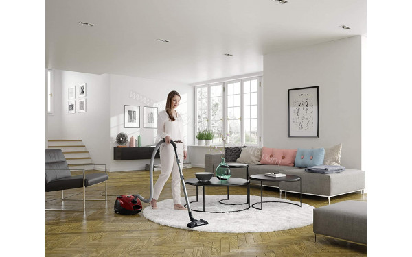 ELECTROLUX EPF6ANIMAL - Mise en situation