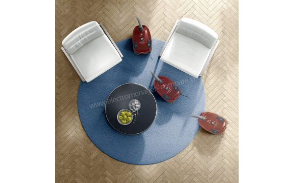 ELECTROLUX EPF6ANIMAL - Mise en situation