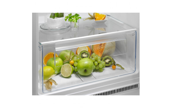 ELECTROLUX ETS5LE16S - Bac fra&icirc;cheur