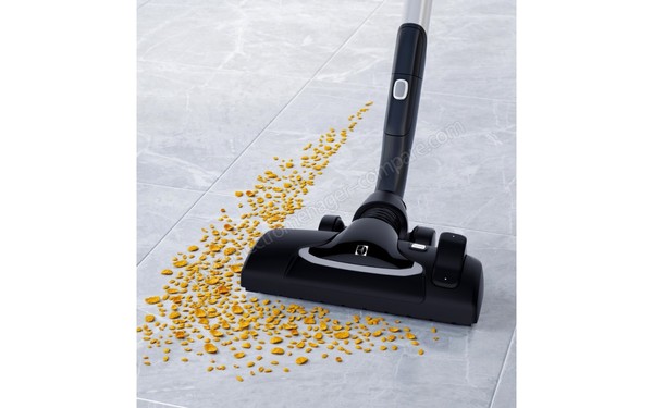 ELECTROLUX EUS8ANIMAL - Brosse principale (cr&eacute;dit : Darty)