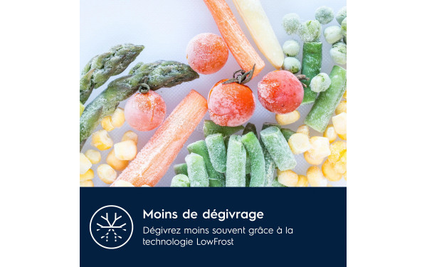ELECTROLUX KNA6LE18S - Technologie LowFrost