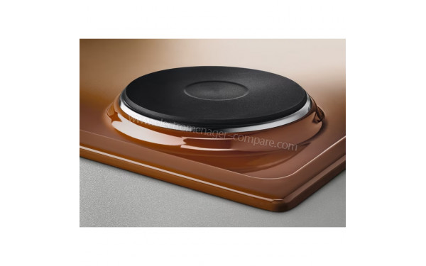 ELECTROLUX LGM62821OT - Zoom sur le foyer &eacute;lectrique