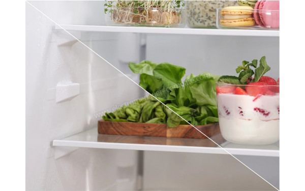 ELECTROLUX LNT6MD32U - Clayettes