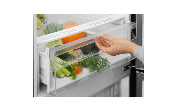 ELECTROLUX LNT6ME36U - Bac fra&icirc;cheur