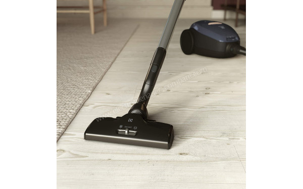 ELECTROLUX PD82-8DB - Vue de la brosse principale