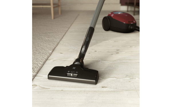 ELECTROLUX PD82-ANIMA - Vue de la brosse principale