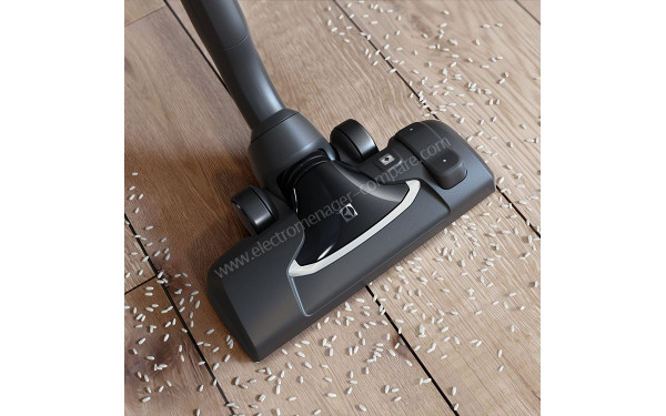 ELECTROLUX PD91-4MG - Vue de la brosse principale