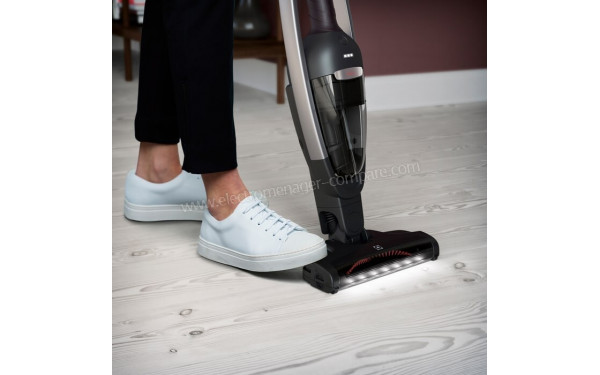 ELECTROLUX PQ91-ANIMS - Vue de la brosse