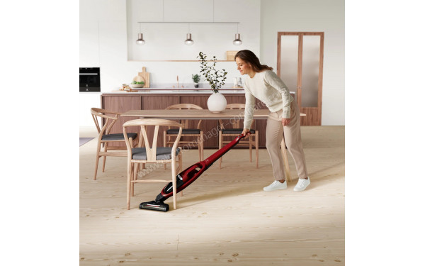 ELECTROLUX WQ61-ANIMA - Mise en situation