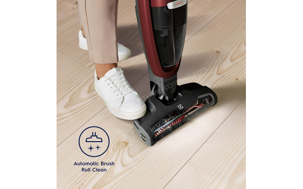 ELECTROLUX WQ71-ANIMA - Nettoyage Brush Roll Clean