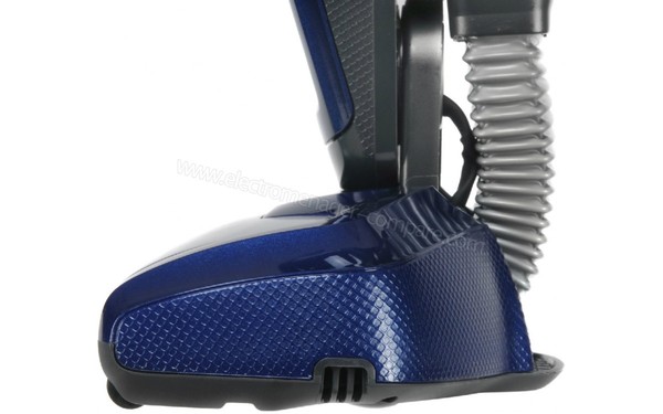 ELECTROLUX ZB5012 - Vue de profil de la brosse (cr&eacute;dit : Darty)