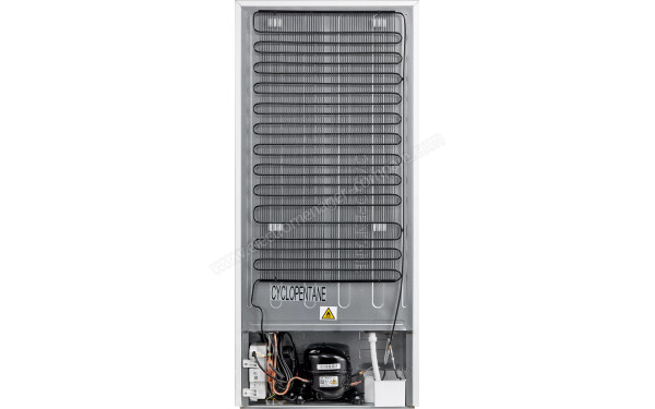 ESSENTIELB ERFI125-55miB2 - Vue de l'arri&egrave;re