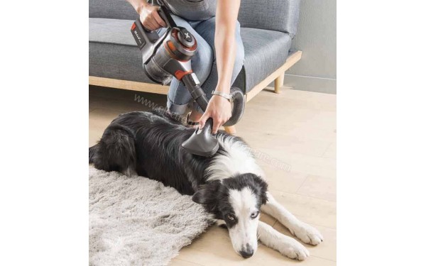 EXCELINE STICK-17Z - Mise en situation