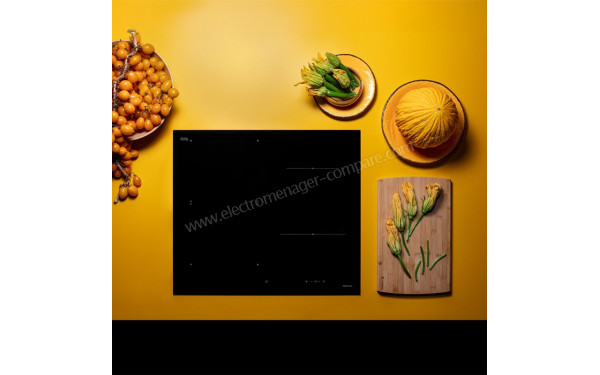 FALMEC INDUCDS3221 - Mise en situation