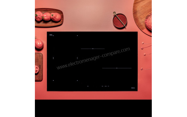 FALMEC INDUCDS3321 - Mise en situation