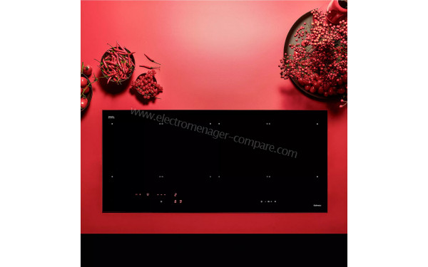 FALMEC INDUCDS3421 - Mise en situation