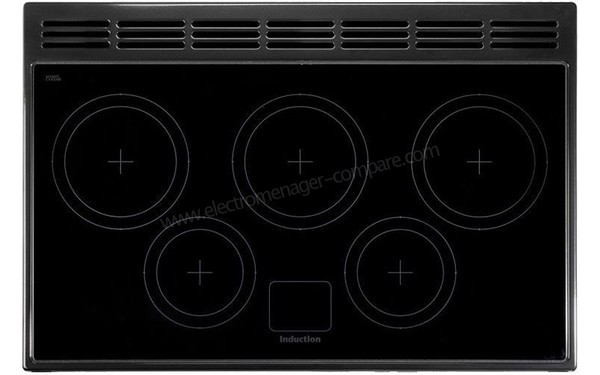 FALCON Professional Plus 90 Induction Rouge - Table de cuisson