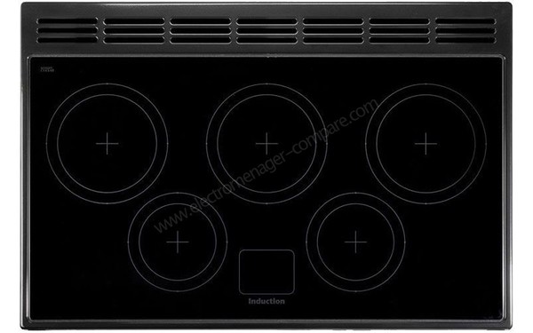 FALCON Professional Plus 90 Induction Noir - Table de cuisson