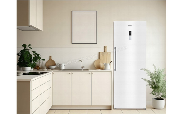 FRIGELUX RA445BE - Mise en situation