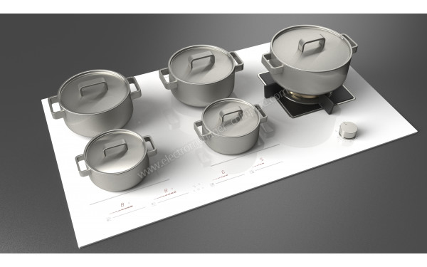 FULGOR MILANO FCHH 905 ID TS G DWK WH - Mise en situation