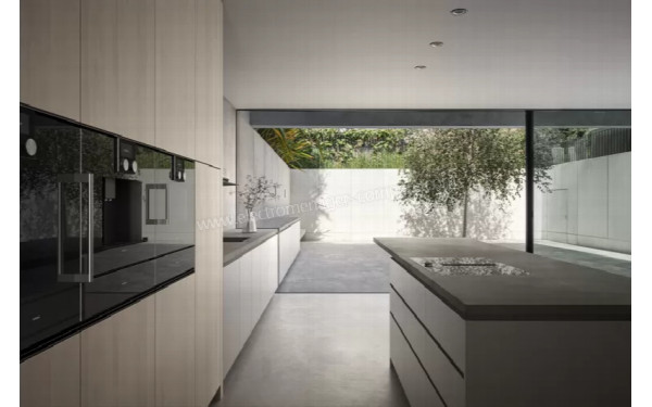 GAGGENAU BSP221101 - Mise en situation