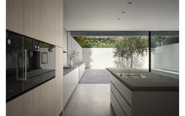 GAGGENAU BSP250101 - Mise en situation