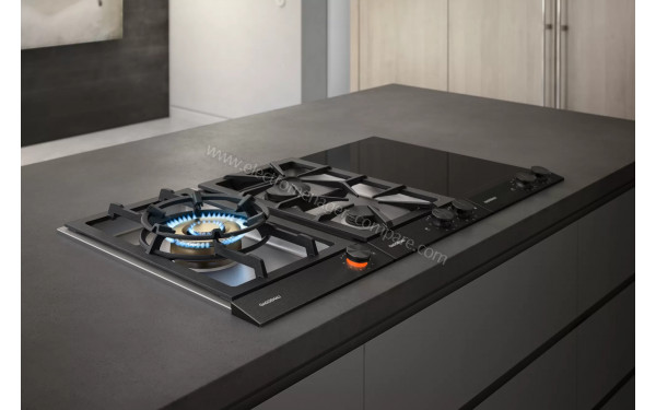 GAGGENAU VI232121 - Mise en situation