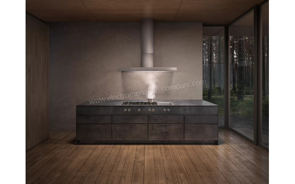 GAGGENAU VI482103 - Mise en situation