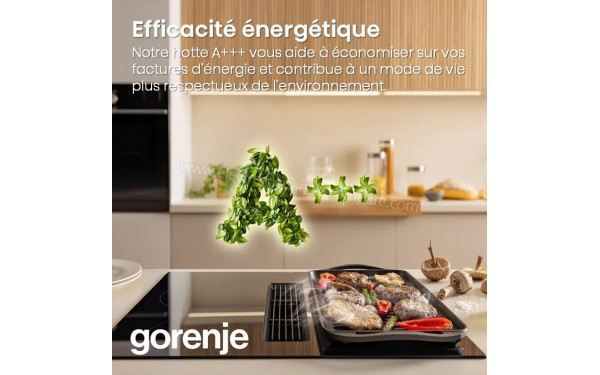 GORENJE GEH6432BSCWF - Mise en situation