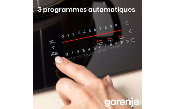 GORENJE GEH6432BSCWF - Vue des programmes