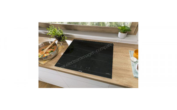 GORENJE IT64ASC - Appareil encastr&eacute;