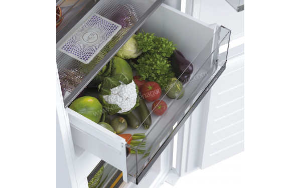 HAIER HBW5518E - Bac fra&icirc;cheur