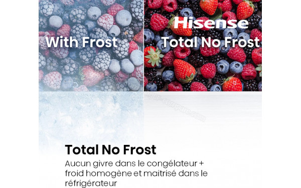 HISENSE RB390N4BCC - Technologie Total No Frost