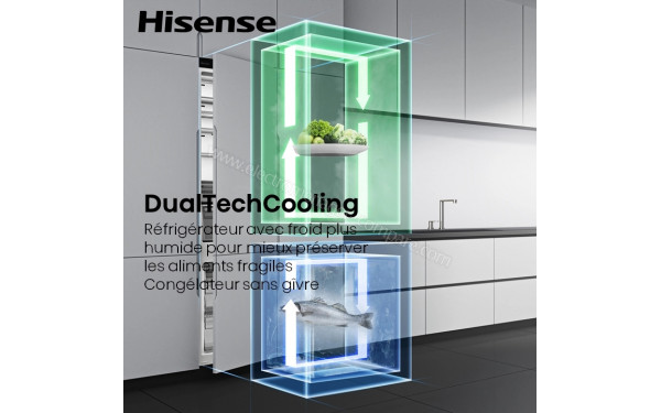 HISENSE RB3B250SAWC - DualTechCooling