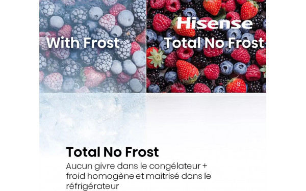 HISENSE RB3N300NECA - Technologie Total No Frost