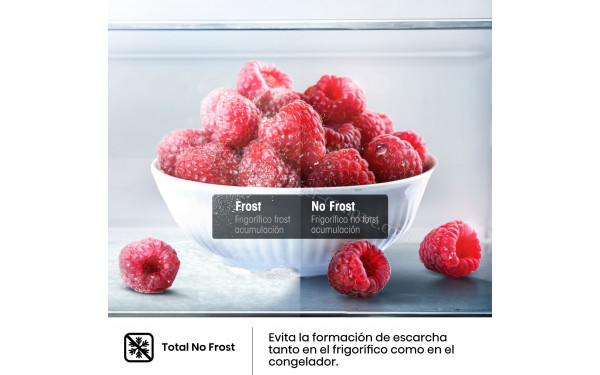 HISENSE RB440N4GBD - Technologie Total No Frost