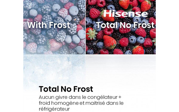 HISENSE RB5B250SSWC1 - Technologie Total No Frost