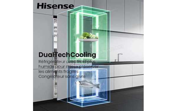 HISENSE RB5B250SSWC1 - DualTechCooling