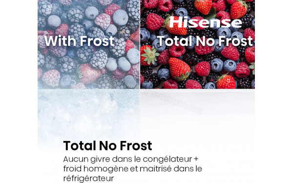 HISENSE RL3B303SAWE1 - Technologie Total No Frost