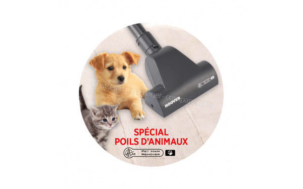 HOOVER BR31PET - Mise en situation