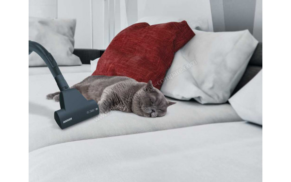 HOOVER BR44PET - Vue de la mini turbobrosse