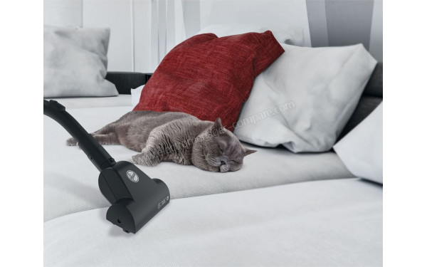 HOOVER BV61PET - Mise en situation