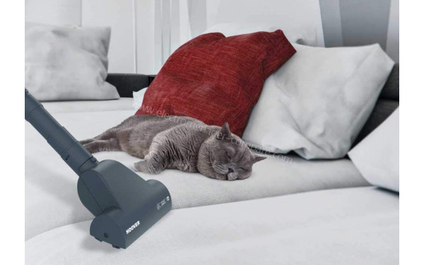 HOOVER CH50PET - Vue de la mini turbobrosse