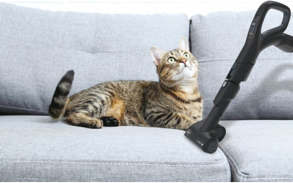 HOOVER HE730ALG - Mise en situation