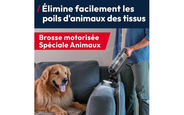 HOOVER HF3CZ10PX - Brosse motoris&eacute;e sp&eacute;ciale animaux