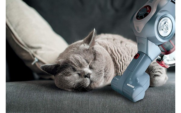 HOOVER HF722HCG - Mise en situation