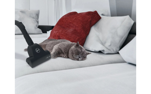 HOOVER HP320PET - Mise en situation